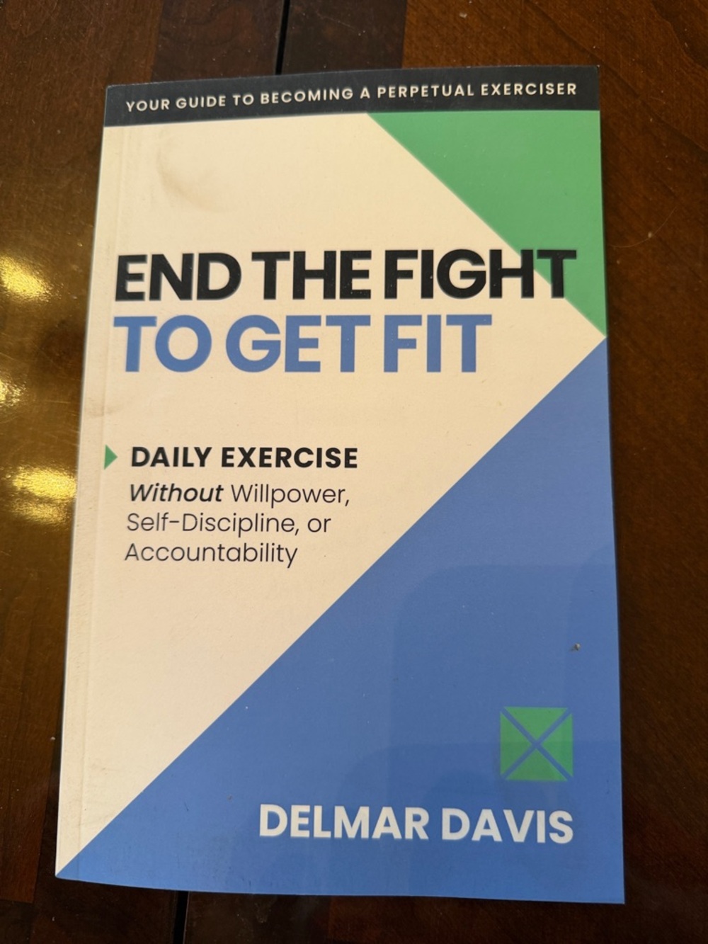 End The Fight To Get Fit by Delmar Davis - Blue & Green Cover